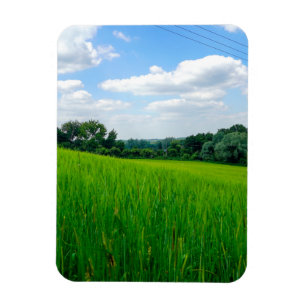 Schöne Landschaft Magnet