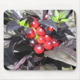 Schöne Landschaft Mouse Mat Mousepad