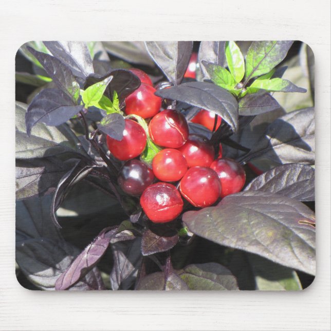 Schöne Landschaft Mouse Mat Mousepad (Vorne)