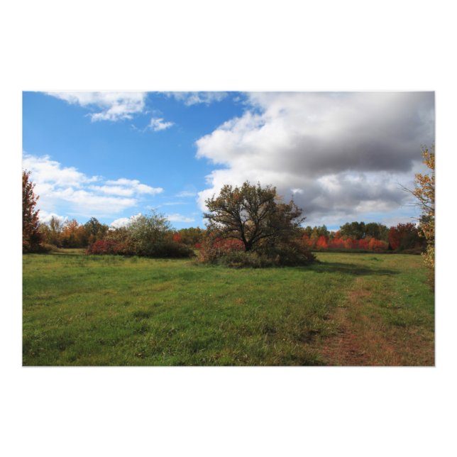 Schöne Landschaft Nova Scotia Landschaft Fotodruck (Vorne)