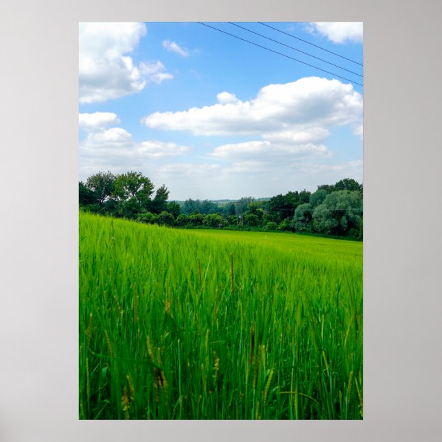 Schöne Landschaft Poster (Vorne)