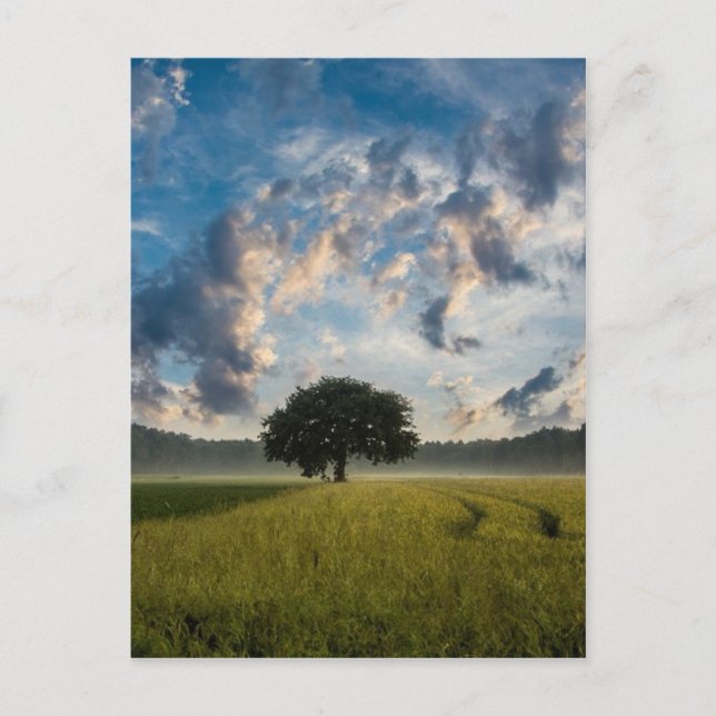 Schöne Landschaft Postkarte (Vorderseite)