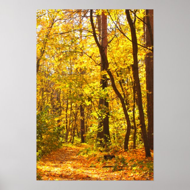 Schöne Landschaft - Straße im Herbstwald Poster (Vorne)