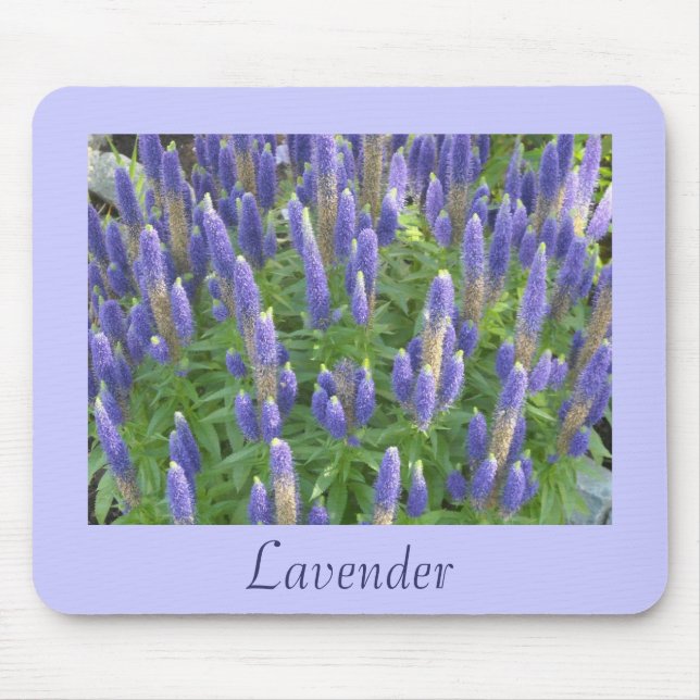 Schöne Lavendel Mousepad (Vorne)
