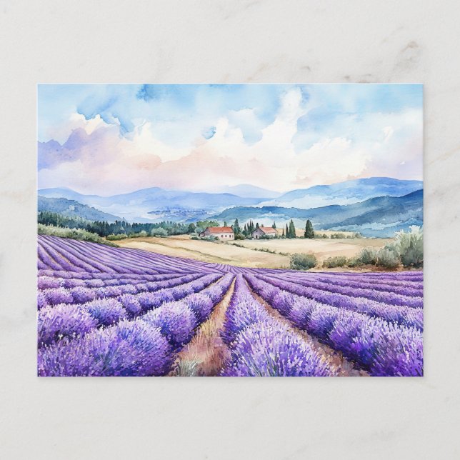 Schöne Lavendelfelder Kunst Feiertagspostkarte (Vorderseite)