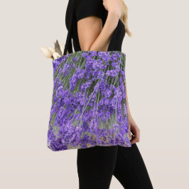 Schöne Lavender Bloms Bloms