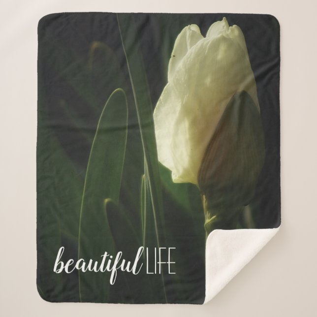 Schöne Lebensform Daffodische Fotografie Sherpadecke (Vorderseite)