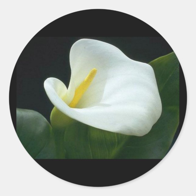 SCHÖNE LEICHTSCHREIBE/GIFT-RUNDSCHALTFLÄCHE RUNDER AUFKLEBER (Vorderseite)