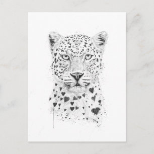 Schöne Leopard Postkarte