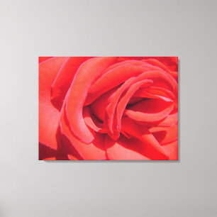 schöne Liebe rote Rose Bild eingepackt Leinwand. Leinwanddruck