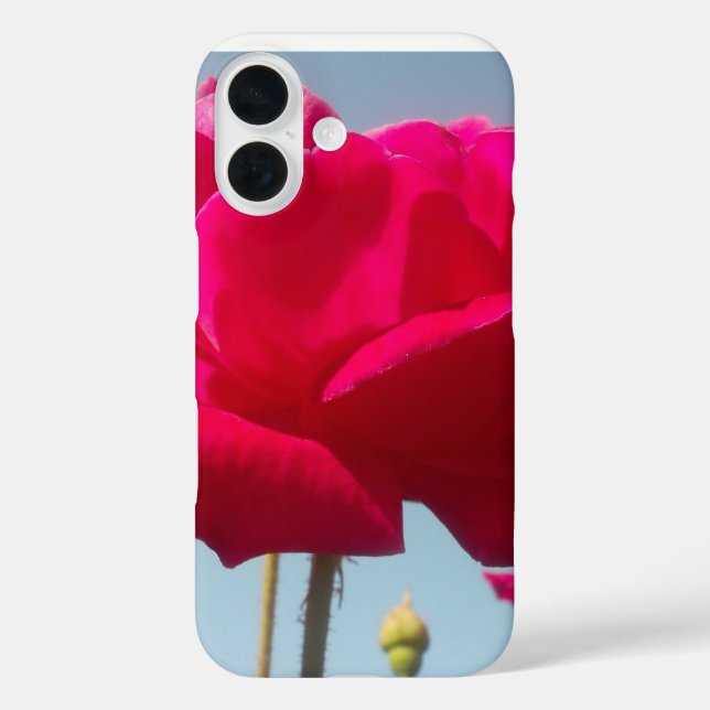 Schöne, liebevolle Rose Rot gegen Blau Case-Mate iPhone Hülle (Rückseite)