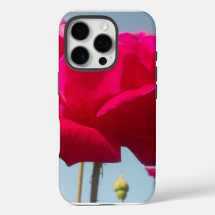 Schöne, liebevolle Rose Rot gegen Blau iPhone 16 Pro Hülle