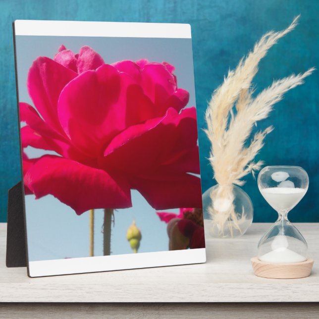 Schöne, liebevolle Rose Rot gegen Blau Fotoplatte (Seite)