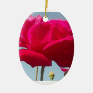 Schöne, liebevolle Rose Rot gegen Blau Keramik Ornament