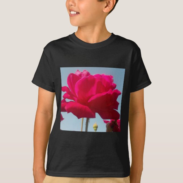 Schöne, liebevolle Rose Rot gegen Blau T-Shirt (Vorderseite)