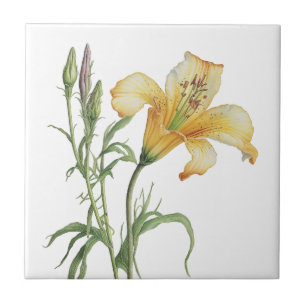 Schöne Liege Vintage botanische Keramik Tile Fliese