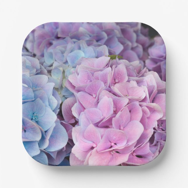 Schöne Lila, blaue, rosa Hydrangea-Blume Pappteller (Vorderseite)