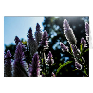 Schöne Lila Blindkarte