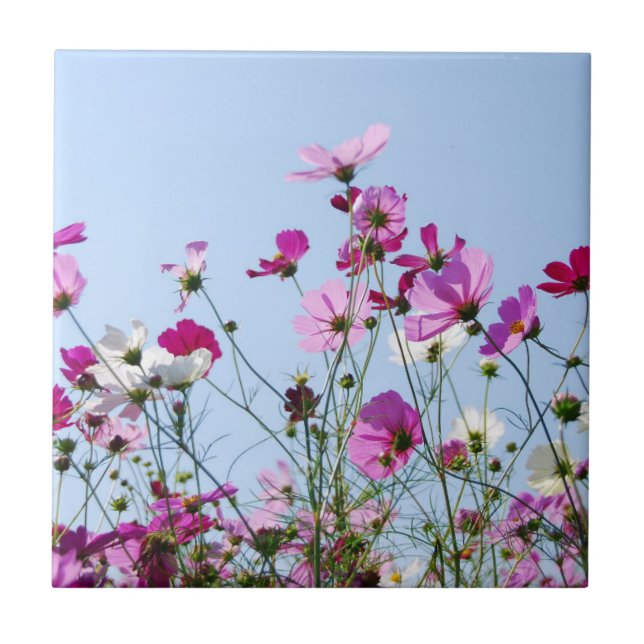 Schöne lila Blumenwiese Fliese (Vorderseite)