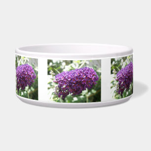 Schöne Lila Buddleia Blume Dog Bowl Napf