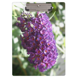 Schöne Lila Buddleia-Blume Klemmbrett