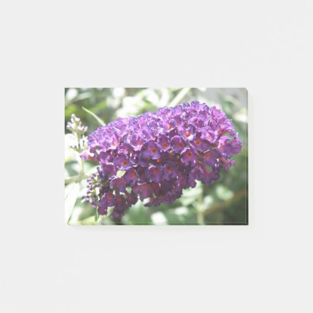 Schöne Lila Buddleia-Blume Post it notes Post-it Klebezettel (Vorderseite)