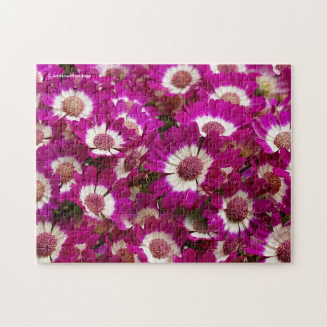 Schöne Lila Cineraria-Blume Puzzle (Horizontal)