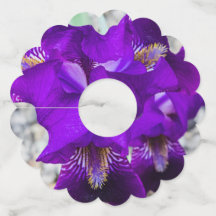 Schöne lila Iris
