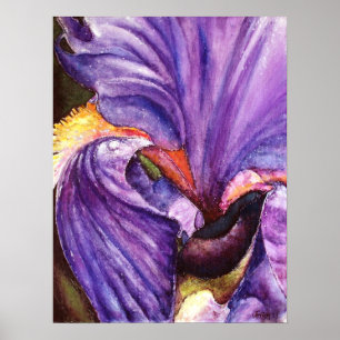 Schöne Lila Iris Art Printing Poster