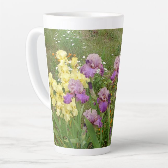 Schöne Lila Iris Blume Blumengarten Foto C Milchtasse (Linke Ecke)