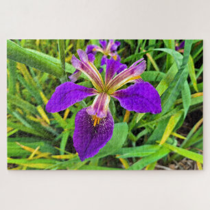 Schöne lila Iris-Blume in Blüte Puzzle