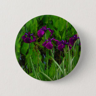 Schöne Lila Iris Button
