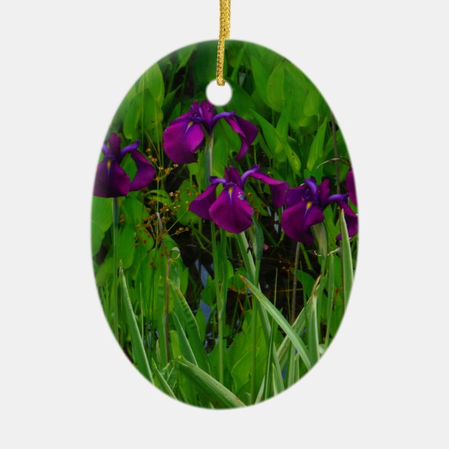 Schöne Lila Iris Keramik Ornament (Vorne)