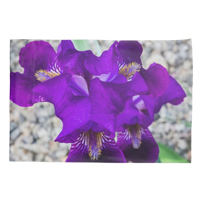 Schöne lila Iris Kissenbezug (Rückseite)