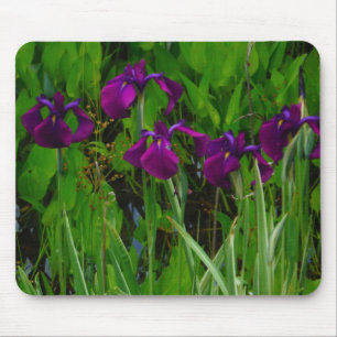 Schöne Lila Iris Mousepad