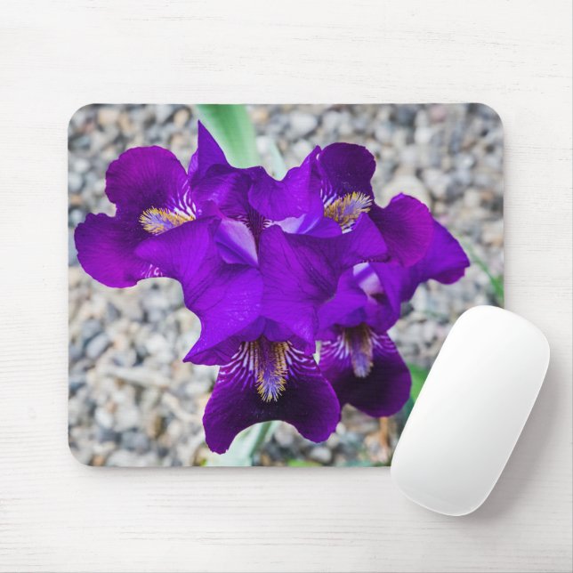 Schöne lila Iris Mousepad (Mit Mouse)