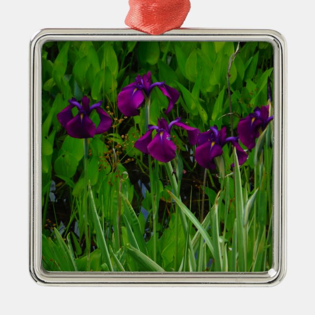Schöne Lila Iris Silbernes Ornament (Vorne)