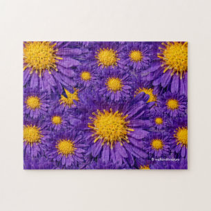 Schöne Lila Michaelmas Daisies Puzzle