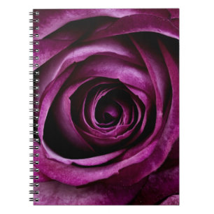 Schöne lila Rosen-Blumen-gewundenes Notizbuch Notizblock