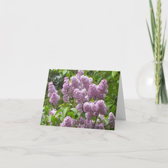 Schöne Lilac Bush Blank Note Card Karte (Vorderseite)