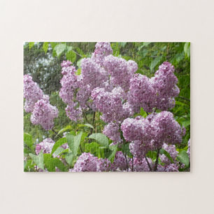 Schöne Lilacs - Blumenfotos  Puzzle