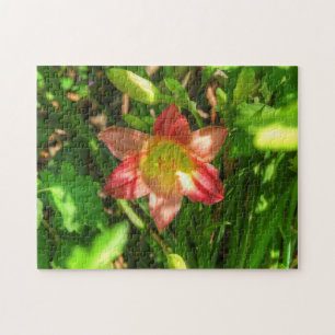 Schöne Lilie Puzzle