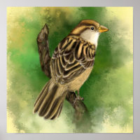 Schöne Little Sparrow Poster Paintin