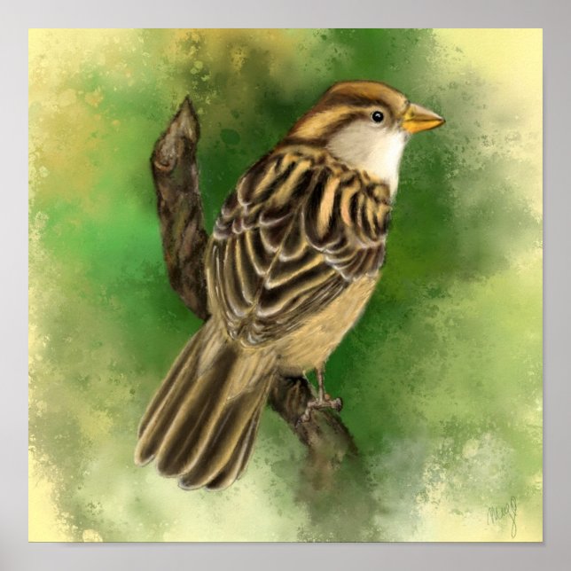 Schöne Little Sparrow Poster Paintin (Vorne)