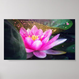 Schöne Lotus, Landschaft, Zen Poster