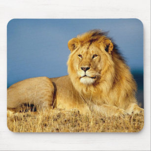 Schöne Löwen-Mausmatte Mousepad
