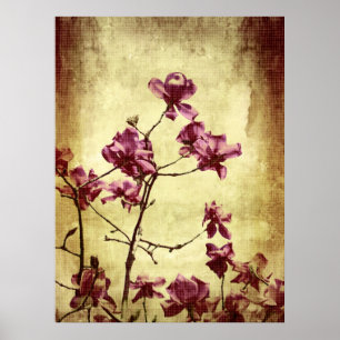 Schöne Magnolie auf Schmutzhintergrund Poster