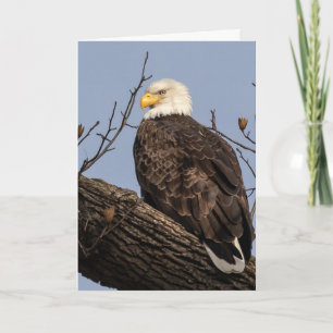 Schöne Mama (Adler) Karte