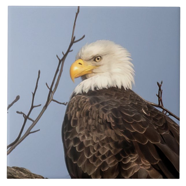 Schöne Mama (Adler) Keramik Tile Fliese (Vorderseite)