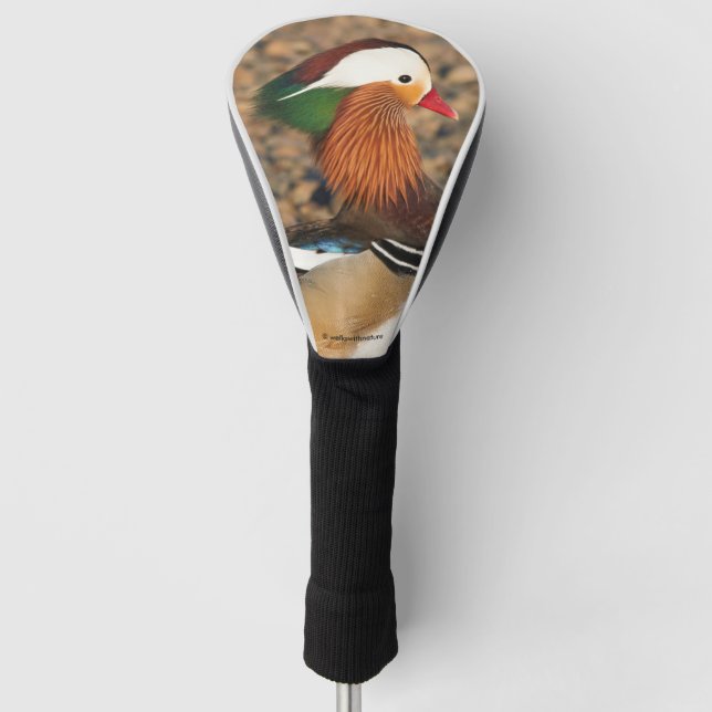Schöne Mandarin-Duck auf den Felsen Golf Headcover (Vorderseite)
